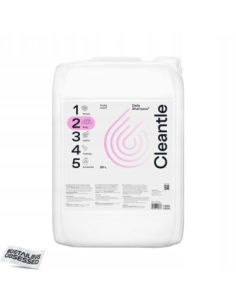 Cleantle Daily Shampoo Fruits 25 l — szampon do mycia lakieru z neutralnym pH i owocowym zapachem