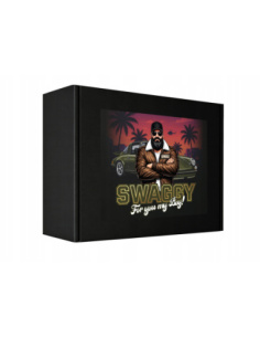 SWAG Gift Box For Men zestaw kosmetyków samochodowych detailing glass cleaner quick detailer zapach Juicy Green Apple