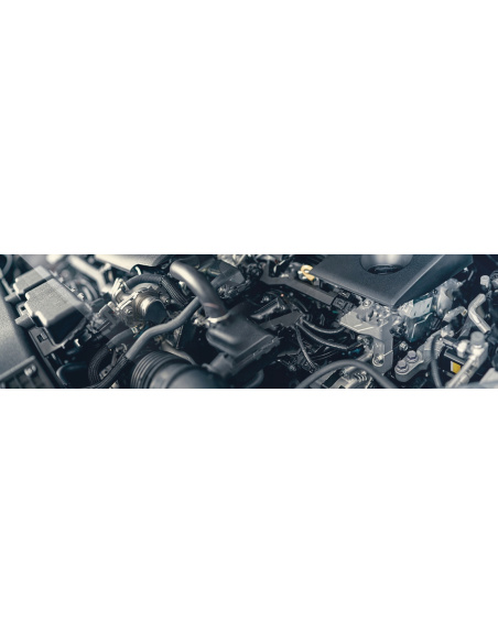 Liqui Moly Depresator do Diesla | Kucar
