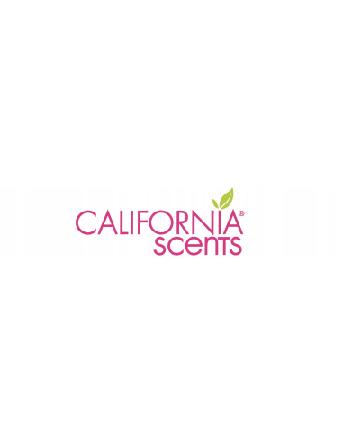 California Scents Ice zapach samochodowy | Kucar