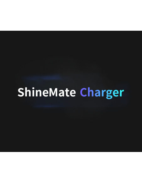 ShineMate BC122 Dual-Channel Charger 10,8V 2x3A